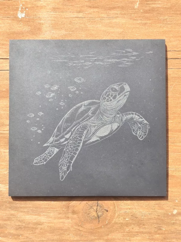 Sea Turtle Slate Coasters - 4 pack contemporary drinks coasters - Image 16