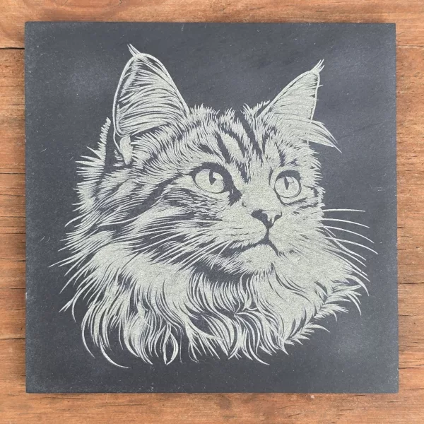 Cat Slate Coaster Set - 4 pack of etched cat design 10cm drinks mats - Image 17