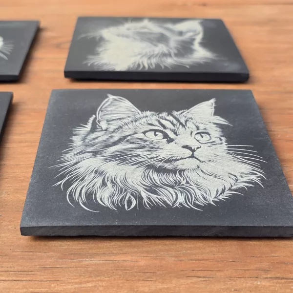 Cat Slate Coaster Set - 4 pack of etched cat design 10cm drinks mats - Image 12