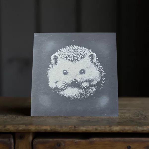 Hedgehog Slate Coaster Set - 4 pack drinks mat set - Image 5
