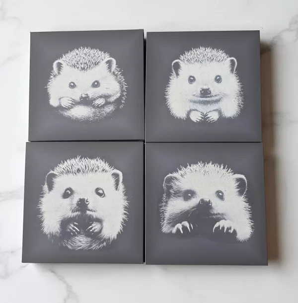 4 pack of cute hedgehog slate coasters