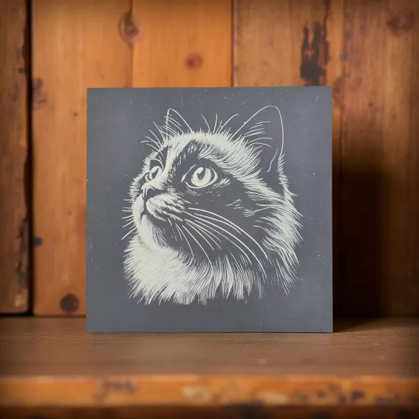 cat slate coaster on a rustic wooden shelf