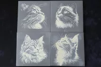 4 pack of slate coasters with various cat designs