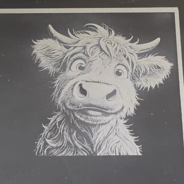 Cute Highland Cow Mr and Mrs Cheese Slate - Serving Board - Image 4